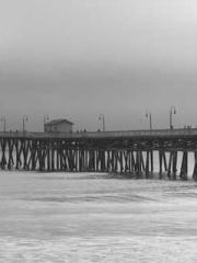 Rebirth of the Urban Rebirth of the Urban