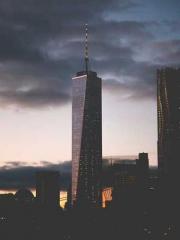 Genius Three Treasur