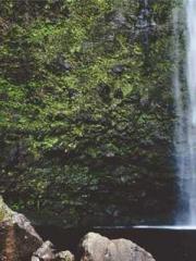 Rise from the Holy R Rise from the Holy R