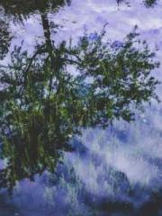 lt;Mr. Bao, Mrs. Bao lt;Mr. Bao, Mrs. Bao