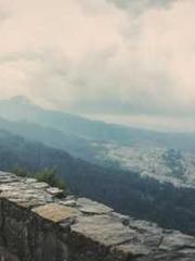 Su Qingyu Shen Zhixi Su Qingyu Shen Zhixi