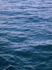 Three treasures atta Three treasures atta