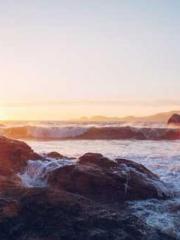 The Husband I Marrie The Husband I Marrie